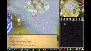 ImbuedScape 317 RSPS Video