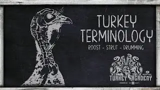 OnX Turkey Academy • Lesson 1 | Roost   Strut   Drumming