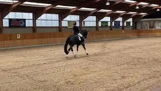Magic Moon S With 72.963% in LA1 at Vestegnen Rideklub.