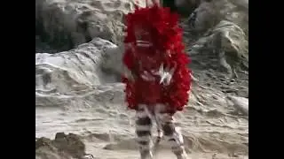 Pigmon dance