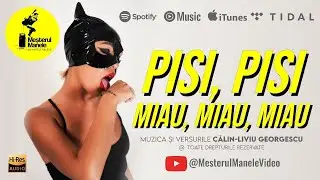 PISI, PISI, MIAU, MIAU, MIAU | MEȘTERUL MANELE - NUMĂRUL UNU &Icirc;N REVOLUȚIA MUZICALĂ DIN ROM&Acirc;NIA