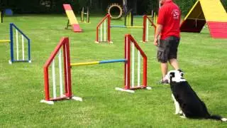 Shadows und Mels Trainer beim Agility