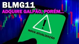 BLMG11 COMPRA GALP&Atilde;O: PONTOS POSITIVOS E NEGATIVOS