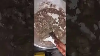 Kodo/Millet  Ko Dhero  #shorts #cookingvideos #shortsviral ##nepalidish #youtubeshorts