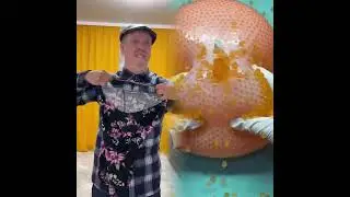🤣👌👌👌2026 pov Must-Watch Crazy Clips Compilation #humor #fypシ #pov #fyp #foryou 😍😜 