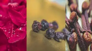 Macro Lens Photography Ideas #1 | photo_gram222 | Mobile Photography | Skyvik Macro Lens | Lockdown