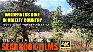 Wilderness Hike in Grizzly Country: Rocky Mountain Micro Hike Along a River