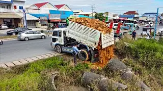 Start New Project!! Landfill Delete forestry Using Bulldozer with 5ton Trucks