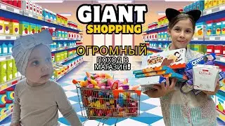 🎁 Big Shopping Adventure! What Did We Buy? / Большой шопинг!  @LikeNastyaofficial