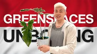 Greenspaces ID Unboxing - Tropical Plants from Indonesia