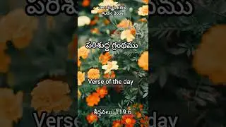 పరిశుద్ధ గ్రంధము||కీర్తనలు 119:6||Verse of the day||Jennica's Bible Audio Book