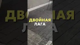Двойная лага