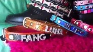 Bling bling dog collars,  handmade leather dog collars - diamante name,