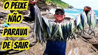 PEGADEIRA SEM PARAR! PESCARIA NA COSTEIRA DA BRAVA BUZIOS #fishing #pesca #buzios #pescador #fish