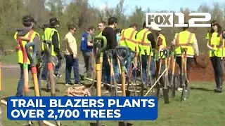Trail Blazers partner nonprofit plants over 2,700 trees