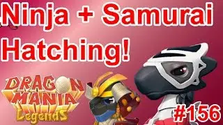 Hatching the Ninja and Samurai Dragons + More New Clan Stuff! - Dragon Mania Legends #156