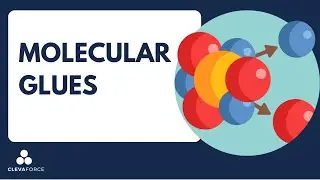 Molecular Glues​