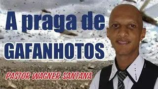 A LAGARTA, O GAFANHOTO, A LOCUSTA E O PULGÃO | 55 Devocional