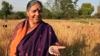 Act for Seed -- NAVDANYA