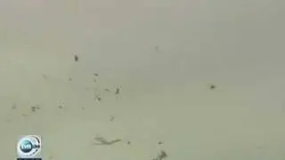 Airshow Radom crash TVrip