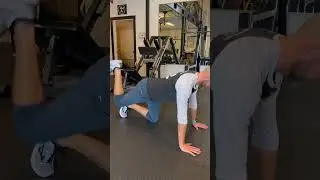Quadruped Hip Rotation