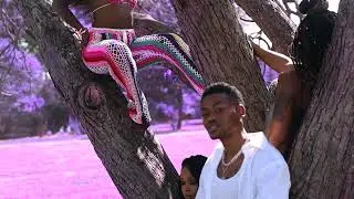 Airik - Daydreaming (Produced by The Entro) (Official Music Video)