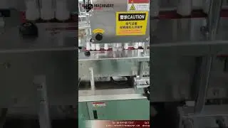 Automatic servo capping machine with cap sorting elevator|YQ machinery cap screwing equipmemnt