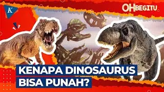 Dinosaurus, Hewan Purba yang Hidup Sebelum Ada Manusia