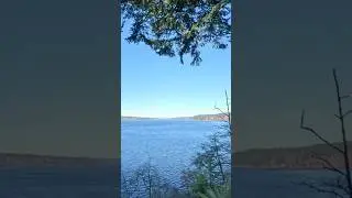 Hidden view of the Puget Sound #lofi #asmr #running #trailrunning