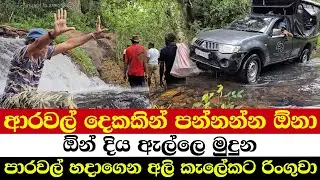 ආරවල් දෙකකින් පන්නන්න ඕනා | ඕන් දිය ඇල්ලෙ මුදුන | පාරවල් හදාගෙන අලි කැලේකට රිංගුවා