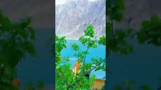 Fresh apricot at Attabad lake #attabadlake #apricot #fresh #hunza