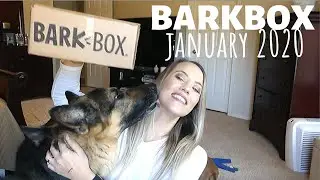 LARGE DOG BOX | BARKBOX | JANUARY 2020