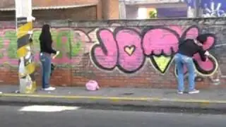 PINTA ILEGAL FEMENIL 1.wmv