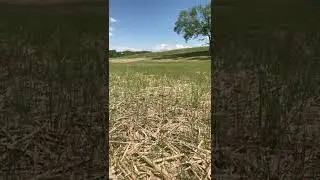 Erosion Mat Works