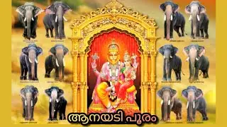 ആനയടി പൂരം , ഗജമേള അടിപൊളി മകരചൊവ്വ കാരണം ആനകളുടെ എണ്ണം കുറഞ്ഞു 🐘Aanayadi pooram 2026