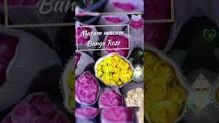 Various Flower Arrangements, Colorful Flower Arrangements