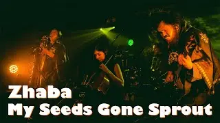 Zhaba – My Seeds Gone Sprout (Live @Город, 02.12.2023)