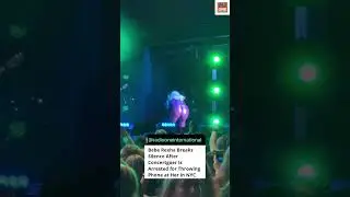 Bebe Rexha got hit by a phone during her concert.