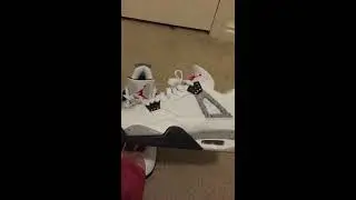 Daily kicks