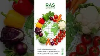 🥦 Agricultural ProductsFresh Vegetable ExporterPremium Fruits SupplierIndian Red Onion Export
