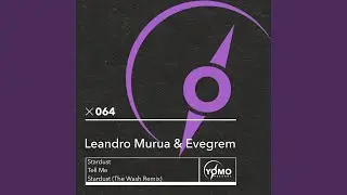 Stardust (The Wash Remix)