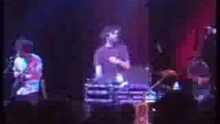 animal collective - the purple bottle