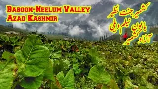 Exploring Baboon Valley-Neelum Valley kashmir|Kashmir Heaven on The Earth