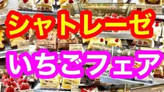 【シャトレーゼいちごフェア行ってきた】絶対食べたい￼ケーキを紹介いたします。岐阜フェアが始まりました。＃シャトレーゼ イチオシ,＃シャトレーゼ 人気ナンバーワン,＃スイーツ大好き