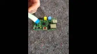 Raspberry Pi Camera Module