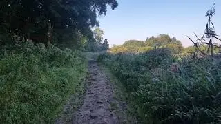SlowTV: Walking in Flyinge Kungsg&aring;rden, Lund, Swedish countryside