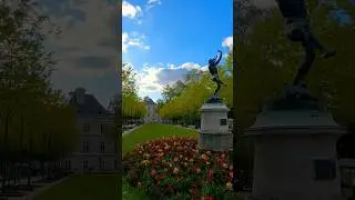 Voir les fleurs avant qu'elles ne fanent/See the flowers before they wilt#paris #viral #2024