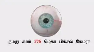 SAVE EYES