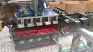 MDGroup Conosur&reg; - Encajonadora Autom&aacute;tica / Armadoras de Cajas