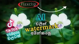 How to Remove Watermark from Video Sinhala (⭕only for educational purposes)|  #watermark@CTechsl-123